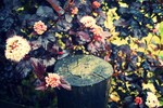 Татьяна Тютюнова : последняя неделя весны 