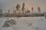 Michail Novikov : Февральский вечер 