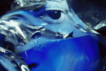 Narek Khechoyan : #C-34. 2009 