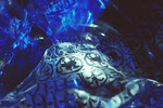 Narek Khechoyan : #C-17. 2009 