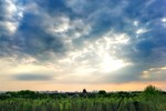 Крестина Лазовская : К дождю 