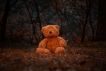 Владимир Плечистый : Осеннее Одиночество 