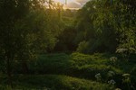 Ирина Терентьева : Лето 