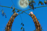 Dmitry Saltykov : «Лунный гороскоп...» 