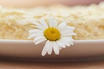 Анна Чудакова : Вкусное утро 