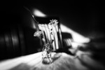 Natalia Gridneva : Untitled 