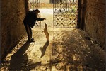 Igor Andreev : untitled 