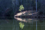Anton Soulev : Light 