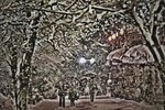 Иван Савельев : Новогоднее гулянье 
