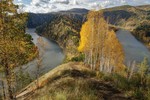 Марина Фомина : Золотая осень. 