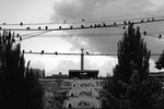 Artak Mkhitaryan : Yerevan2800 