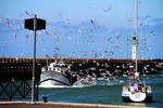 Simon Karapetyan : Port de Deauville  