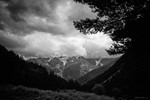 Денис Россиков : Untitled 