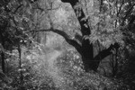 Денис Россиков : Untitled 
