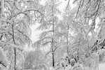 Денис Россиков : Untitled 