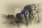 Владимир  : "Одигитрия". Заметки из прошлого 