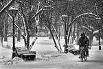 Владимир  : Ни метель не страшна нам, ни жара 