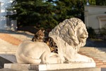 Наталия Киреева : Севастополь. Львы на Графской пристани 