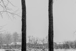 Михаило Симовић : там что-то 