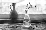 Юлия Ласкорунская : Несовместимость 