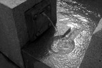 Николай Остапишин : чистая вода 