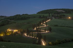 Nataliia Poda : Tuscany's Gold 