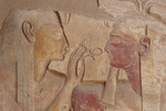 gamelyan khaled : Abydos - Seti I Temple 