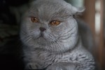 Марина Назарова : Где тут ваша пианина.. показывайте, на какие кнопки нажимать 