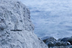 Kassandra Mareeva : Море 