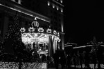 Ника Саровская : "Карусель чудес" 