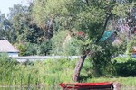 Юрий Юров : Без названия 