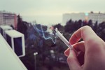 Михаил Жуковский : ***** 