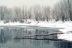 Борис Горский : Отражение зимы 