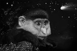 Ирина Костикова : Хвост кометы 