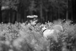 Екатерина Козаченко : Ты да я, да мы с тобой... 