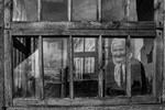 Fred Samorodov : По ту сторону 