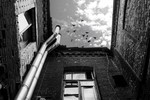 Fred Samorodov : Окно в небо 