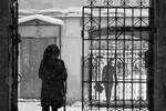 Александр Рощин : Проходные дворы 
