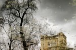 Liliya Boldyreva : В реке забвения 