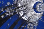 Валентина Позднякова : Ночь 