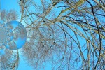 Валентина Позднякова : Весна 