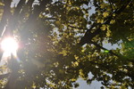 Анастасия Гусева : The SUN... 