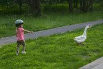 Морозова Марина : Гуси, гуси, га, га, га... 