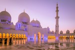 Виктор Готлиб : Мечеть шейха Зайда  