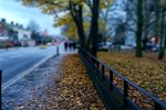 Irina Kann : November in London 