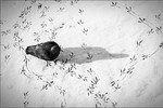Дарья Уткина : Запутался.. 