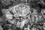   : Каменная роза 