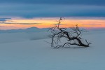 Vadim Zhigulin : *** 