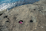 Ермакова Ольга : Спрятали  