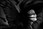 Milla Sineva : ворона 